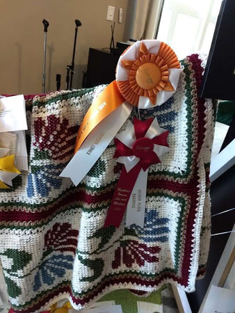 District 1 People S Choice 2019 Afghan Phyllis Guller Oh Eastern Star Home