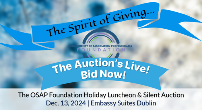 Bid Now on a Great Auction Item