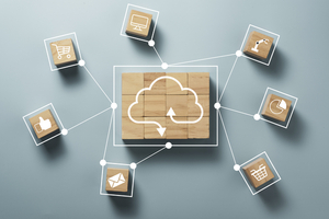 What AMS Vendors Don't Tell You about Implementation